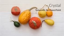  Presentation with harvest - PPT theme enhanced with autumn-card-with-a-harvest background and a lemonade colored foreground