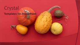  Presentation with harvest - PPT theme featuring autumn-card-with-a-harvest background and a red colored foreground