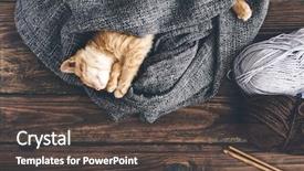  Presentation with ginger - PPT layouts consisting of little ginger kitten is sleeping background and a dark gray colored foreground