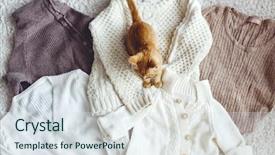  Presentation with cat - Colorful theme enhanced with knitwear closeup cat sitting on sweaters top view pastel colors backdrop and a sky blue colored foreground