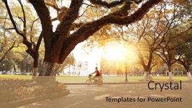  Presentation with park night city - Slide set having autumn city park background and a coral colored foreground