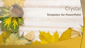  Presentation with classified - PPT layouts with autumn classified on the tree with leaf frame for words and inscriptions copy space top view background and a sky blue colored foreground