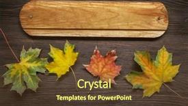  Presentation with classified - PPT layouts enhanced with autumn classified on the tree with leaf frame for words and inscriptions copy space top view background and a tawny brown colored foreground