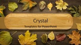  Presentation with classified - Beautiful slides featuring autumn classified on the tree with leaf frame for words and inscriptions copy space top view backdrop and a gold colored foreground