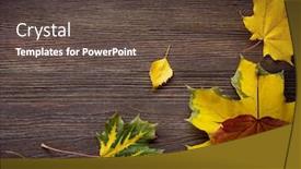  Presentation with classified - PPT theme having autumn classified on the tree with leaf frame for words and inscriptions copy space top view background and a tawny brown colored foreground