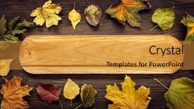  Presentation with classified - Slide set consisting of autumn classified on the tree with leaf frame for words and inscriptions copy space top view background and a gold colored foreground