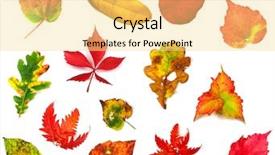  Presentation with autumn leaves - PPT theme featuring closeup of a plate with spiced couscous and a chicken skewer background and a tawny brown colored foreground