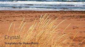  Presentation with autumn - Cool new presentation design with autumn-coloration-of-clumps backdrop and a yellow colored foreground