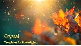  Presentation with fall leaves - Audience pleasing presentation theme consisting of autumn colorful bright leaves swinging backdrop and a tawny brown colored foreground