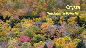  Presentation with bold colors - PPT layouts enhanced with autumn colors background from vermont background and a  colored foreground