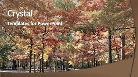  Presentation with forest - Audience pleasing PPT theme consisting of autumn-colors-in-the-forest backdrop and a tawny brown colored foreground