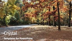  Presentation with forest - Amazing theme having autumn-colors-in-the-forest backdrop and a violet colored foreground
