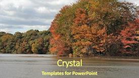  Presentation with forest - PPT layouts consisting of autumn-colors-in-the-forest background and a tawny brown colored foreground