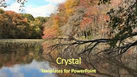  Presentation with forest - Beautiful slide deck featuring autumn-colors-in-the-forest backdrop and a tawny brown colored foreground