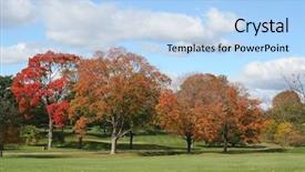  Presentation with forest - Beautiful slides featuring autumn-colors-in-the-forest backdrop and a light blue colored foreground