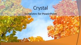  Presentation with sugaring - Colorful presentation theme enhanced with autumn colors maple foliage backdrop and a light blue colored foreground