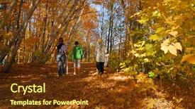  Presentation with elderly people walking difficulties - Amazing PPT theme having autumn colors path with people backdrop and a  colored foreground