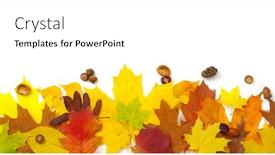  Presentation with leaves flat lay - Colorful presentation design enhanced with autumn-composition-colorful-leaves-isolated backdrop and a white colored foreground