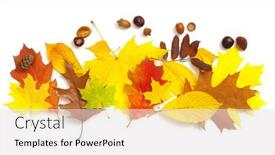  Presentation with leaves flat lay - PPT theme having autumn-composition-colorful-leaves-isolated background and a light gray colored foreground