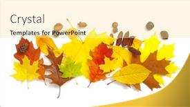  Presentation with leaves flat lay - Slide deck having autumn-composition-colorful-leaves-isolated background and a blonde colored foreground