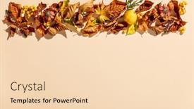  Presentation with dry fruits - Presentation theme consisting of autumn-composition-frame-made background and a lemonade colored foreground