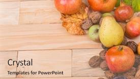  Presentation with life span development - Colorful theme enhanced with autumn composition from top free backdrop and a  colored foreground