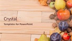  Presentation with life span development - Colorful presentation enhanced with autumn composition from top free backdrop and a  colored foreground