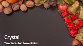  Presentation with life span development - Presentation design consisting of autumn composition from top free background and a  colored foreground