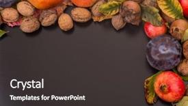  Presentation with life span development - Audience pleasing slide deck consisting of autumn composition from top free backdrop and a  colored foreground