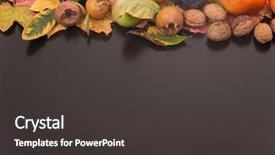  Presentation with life span development - Slides with autumn composition from top free background and a dark gray colored foreground