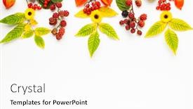  Presentation with leaves flat lay - Presentation theme having autumn-composition-made-of-flowers background and a white colored foreground