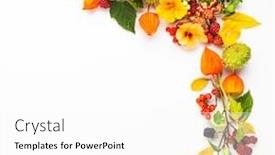  Presentation with leaves flat lay - PPT theme featuring autumn-composition-made-of-flowers background and a white colored foreground