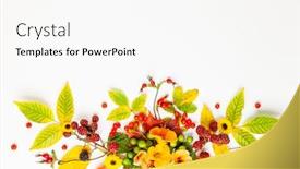  Presentation with thanksgiving - Slide deck with autumn-composition-made-of-flowers background and a white colored foreground