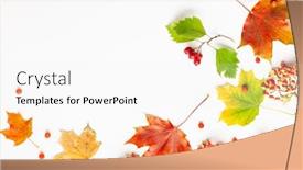  Presentation with leaves flat lay - Presentation theme with autumn-composition-made-of-leaves background and a white colored foreground