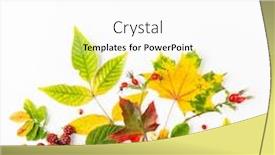  Presentation with leaves flat lay - Presentation design featuring autumn-composition-made-of-leaves background and a white colored foreground