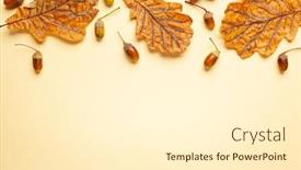  Presentation with oak tree - Amazing PPT theme having autumn-composition-with-autumn-dried backdrop and a white colored foreground