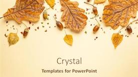  Presentation with leaves flat lay - Audience pleasing presentation consisting of autumn-composition-with-autumn-leaves backdrop and a cream colored foreground