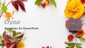  Presentation with leaves flat lay - Cool new PPT layouts with autumn-composition-with-flowers-leaves backdrop and a white colored foreground