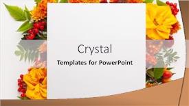  Presentation with leaves flat lay - Colorful slide deck enhanced with autumn-composition-with-flowers-leaves backdrop and a white colored foreground