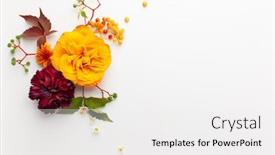  Presentation with leaves flat lay - Slides with autumn-composition-with-flowers-leaves background and a white colored foreground