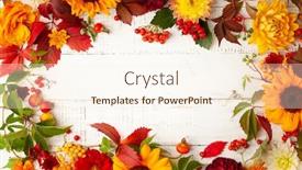  Presentation with thanksgiving - Slide set enhanced with autumn-composition-with-flowers-leaves background and a cream colored foreground