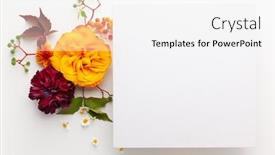  Presentation with leaves flat lay - Beautiful theme featuring autumn-composition-with-flowers-leaves backdrop and a white colored foreground