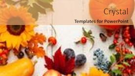  Presentation with thanksgiving - Slide deck having autumn-composition-with-pumpkins-fruits background and a yellow colored foreground