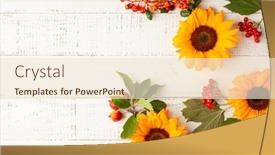  Presentation with leaves flat lay - Audience pleasing presentation theme consisting of autumn-composition-with-sunflowers-leaves backdrop and a lemonade colored foreground