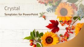  Presentation with leaves flat lay - Slides having autumn-composition-with-sunflowers-leaves background and a cream colored foreground