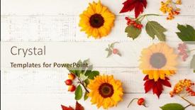  Presentation with leaves flat lay - Amazing slide deck having autumn-composition-with-sunflowers-leaves backdrop and a cream colored foreground
