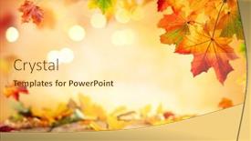  Presentation with autumn leaves falling - Theme enhanced with autumn-concept-with-red-yellow background and a cream colored foreground