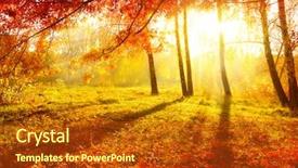  Presentation with autumn - Theme consisting of autumn fall autumnal park autumn background and a crimson colored foreground