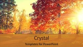  Presentation with fall leaves - PPT layouts consisting of autumn fall autumnal park autumn background and a gold colored foreground