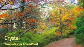  Presentation with golden yellow - Beautiful slides featuring autumn fall colorful golden yellow leaves from a beech trees forest backdrop and a tawny brown colored foreground